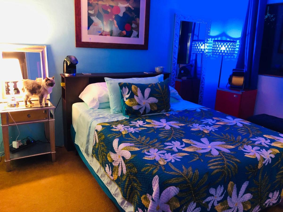 Kona Magic Honu Room Kailua-Kona Ngoại thất bức ảnh